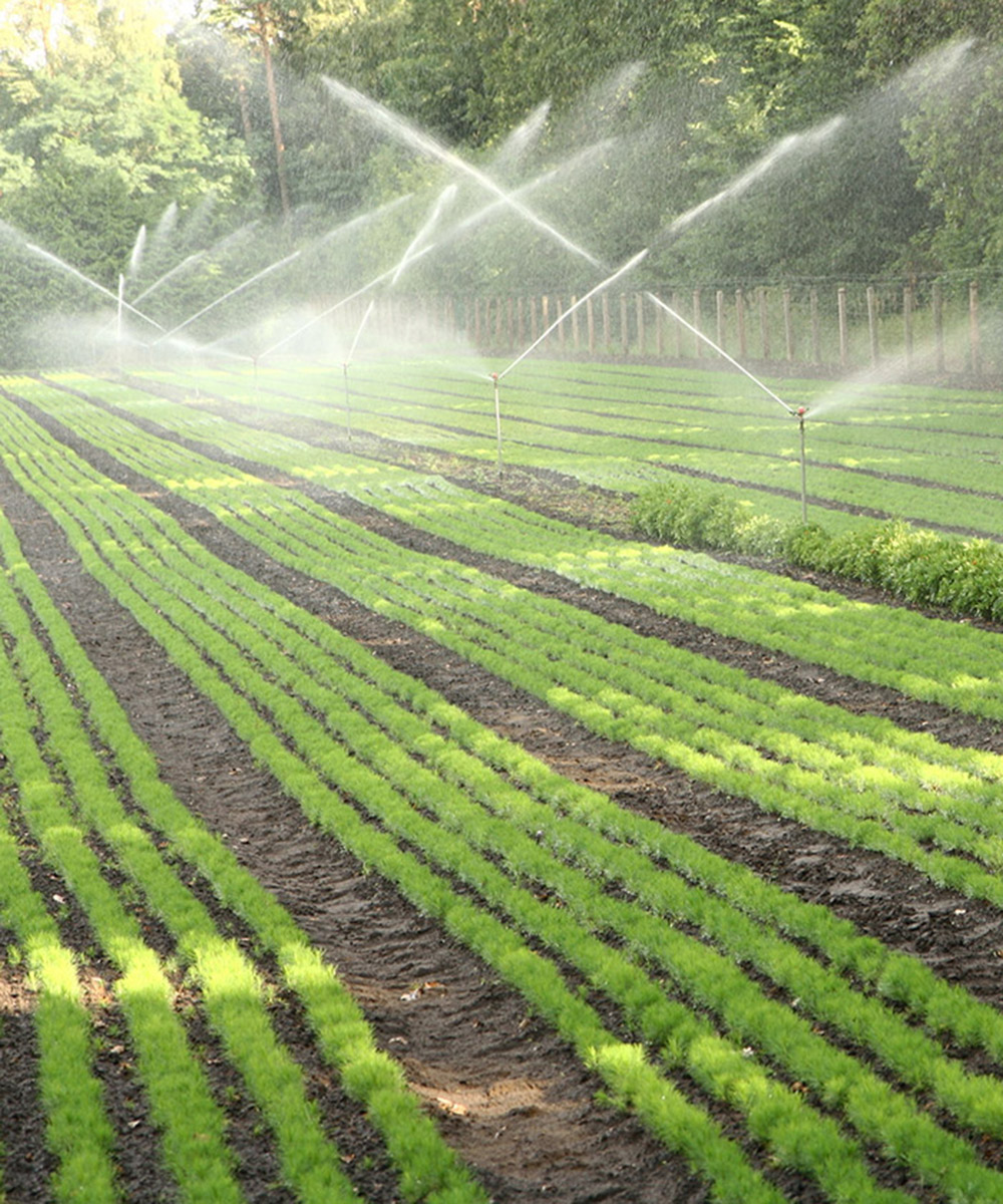 PSistema solar de bombeo de agua -  Campos Solares de México | Páneles Solares | Energía Solar